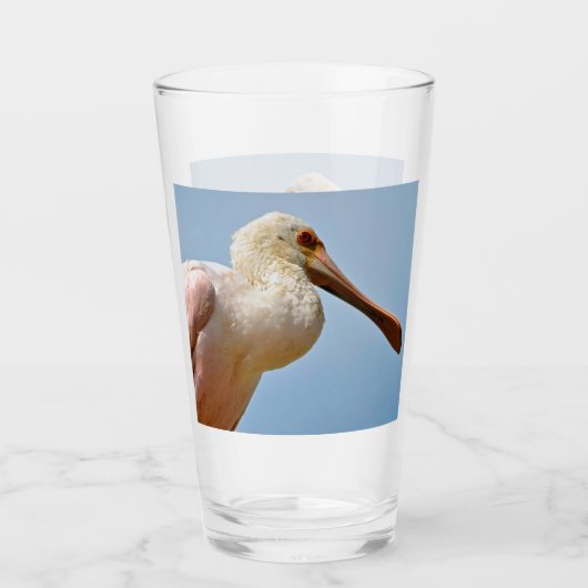 Roseate Spoonbill schließen Glas (Vorderseite)