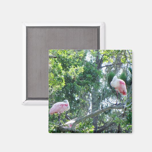 Roseate Spoonbill Sleeping Magnet (Vorderseite/Rückseite)