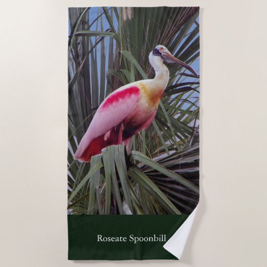 Roseate Spoonbill Strandtuch (Vorderseite)