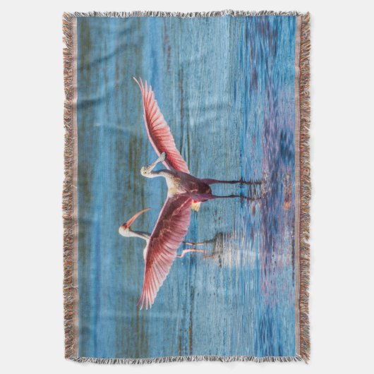 Roseate Spoonbill Throw Blanket Decke (Vorderseite Vertikal)