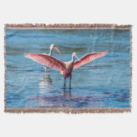 Roseate Spoonbill Throw Blanket Decke (Vorderseite)