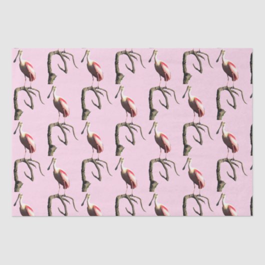Roseate Spoonbill Tissue Paper Seidenpapier (Vorderseite)
