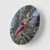Roseate Spoonbill Uhr (Winkel)
