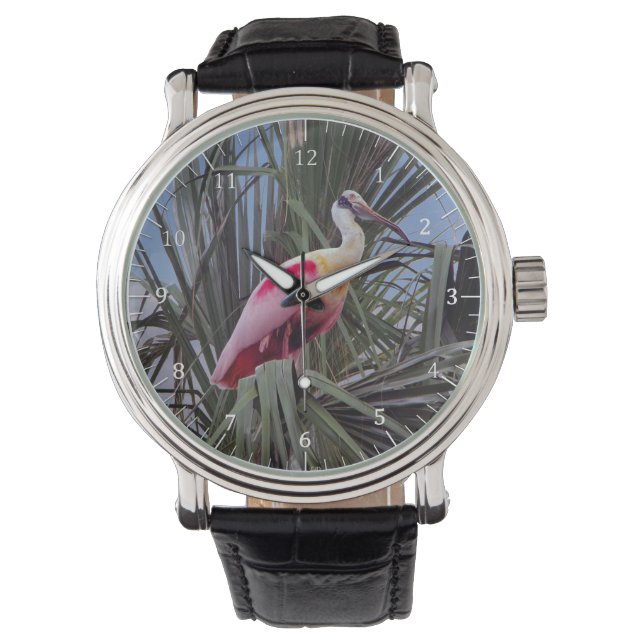 Roseate Spoonbill-Uhr Armbanduhr (Vorderseite)