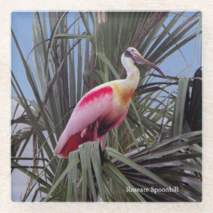 Roseate Spoonbill Untersetzer