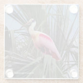 Roseate Spoonbill Untersetzer (Rückseite)