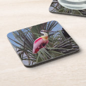Roseate Spoonbill Untersetzer (Linke Seite)