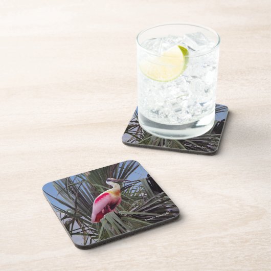 Roseate Spoonbill Untersetzer (Rechte Seite)