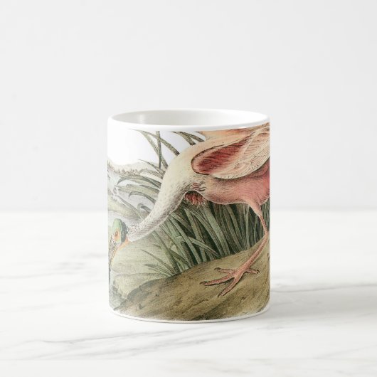Roseate Spoonbill von Audubon Kaffeetasse (Mittel)
