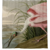 Roseate Spoonbill von Audubons Vögeln Amerikas Duschvorhang (Vorderseite)
