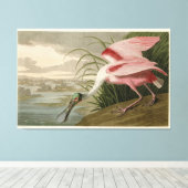 Roseate Spoonbill von Audubons Vögeln Amerikas Leinwanddruck (Insitu (Holzboden))