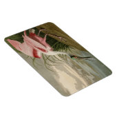 Roseate Spoonbill von Audubons Vögeln Amerikas Magnet (Rechte Seite)