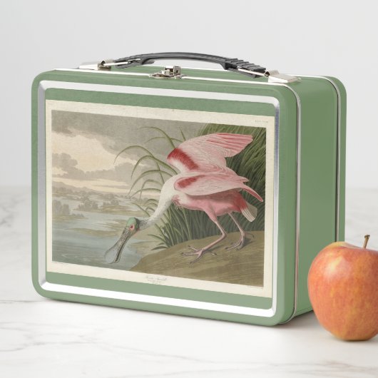 Roseate Spoonbill von Audubons Vögeln Amerikas Metall Brotdose (Beispiel)