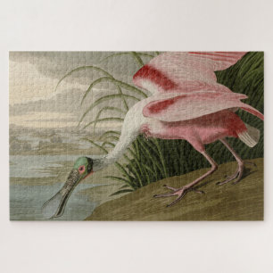 Roseate Spoonbill von Audubons Vögeln Amerikas Puzzle