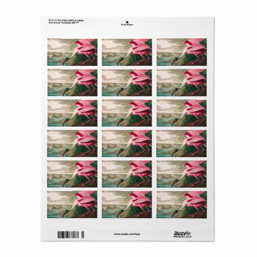 Roseate Spoonbill von John James Audubon Adressaufkleber (Vorne)