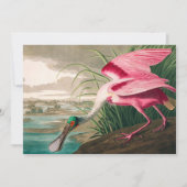 Roseate Spoonbill von John James Audubon Dankeskarte (Vorderseite)