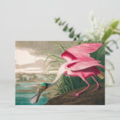 Roseate Spoonbill von John James Audubon Dankeskarte (Stehend Vorderseite)