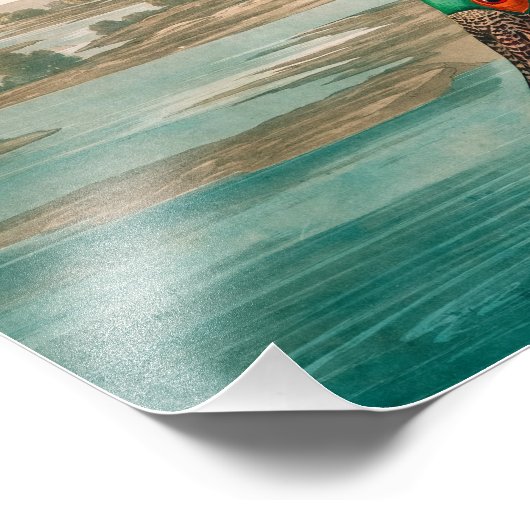 Roseate Spoonbill von John James Audubon Fotodruck (Ecke)