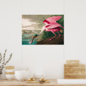 Roseate Spoonbill von John James Audubon Poster (Küche)