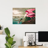 Roseate Spoonbill von John James Audubon Poster (Heimbüro)
