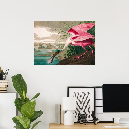 Roseate Spoonbill von John James Audubon Poster (Heimbüro)