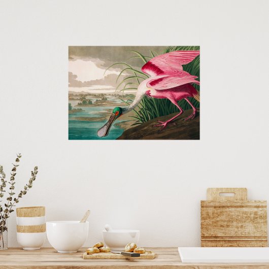 Roseate Spoonbill von John James Audubon Poster (Küche)