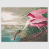 Roseate Spoonbill von John James Audubon Seidenpapier (Vorderseite)