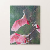 Roseate Spoonbills (Ajaia Ajaja) Landung Puzzle (Vertikal)