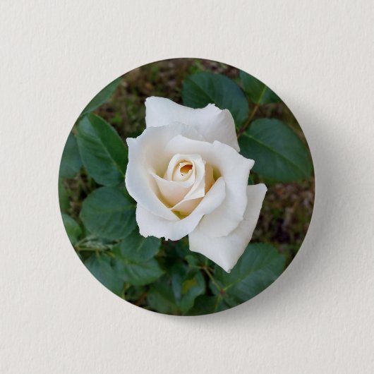 Rosebude Button (Vorderseite)