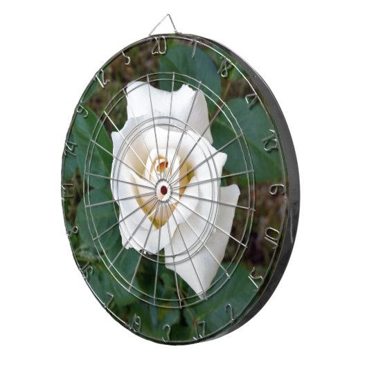 Rosebude Dartscheibe (Vorderseite rechts)