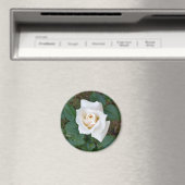 Rosebude Magnet (In Situ (Geschirrspüler))