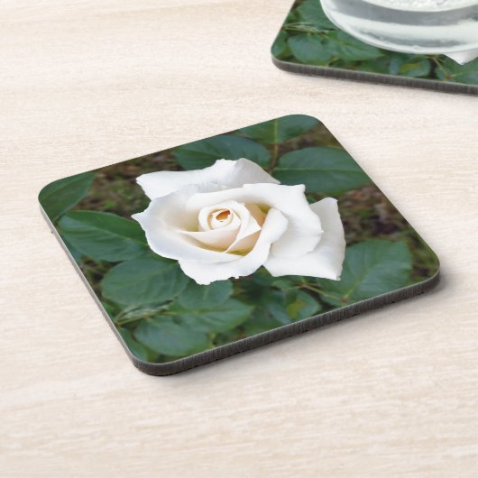 Rosebude Untersetzer (Linke Seite)