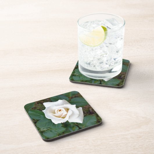 Rosebude Untersetzer (Rechte Seite)