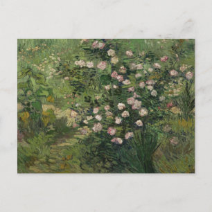 Rosebush in Blossom, Van Gogh Fine Art Postkarte