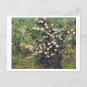 Rosebush in Blossom Vincent van Gogh Postcard Postkarte (Vorderseite)
