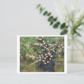 Rosebush in Blossom Vincent van Gogh Postcard Postkarte (Stehend Vorderseite)