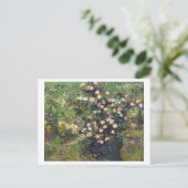 Rosebush in Blossom Vincent van Gogh Postcard Postkarte (Stehend Vorderseite)