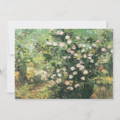 Rosebush in Blossom von Vincent van Gogh Einladung (Vorderseite)