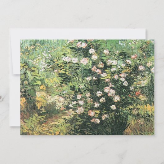 Rosebush in Blossom von Vincent van Gogh Einladung (Vorderseite)