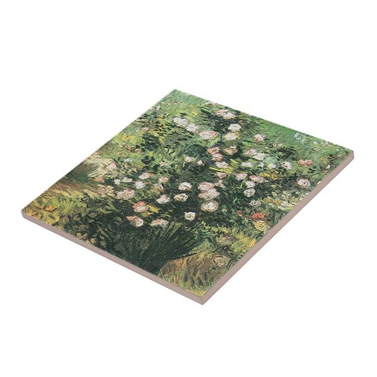 Rosebush in Blossom von Vincent van Gogh Fliese (Seite)