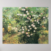 Rosebush in Blossom von Vincent van Gogh Poster (Vorne)