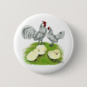 Rosecomb Bantams and Chicks Button