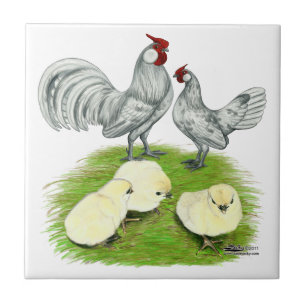 Rosecomb Bantams and Chicks Fliese