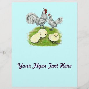 Rosecomb Bantams and Chicks Flyer