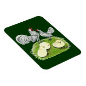 Rosecomb Bantams and Chicks Magnet (Rechte Seite)