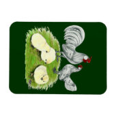 Rosecomb Bantams and Chicks Magnet (Horizontal)
