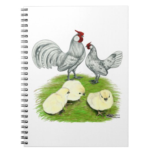 Rosecomb Bantams and Chicks Notizblock (Vorderseite)