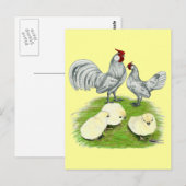 Rosecomb Bantams and Chicks Postkarte (Vorne/Hinten)