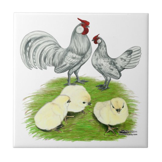 Rosecomb Bantams und Chips Fliese (Vorderseite)