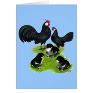 Rosecomb Black Bantam Family